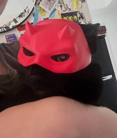 DareCat